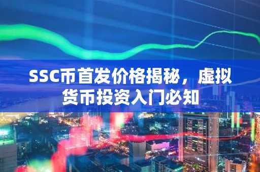 SSC币首发价格揭秘，虚拟货币投资入门必知