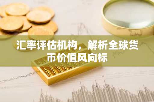 汇率评估机构，解析全球货币价值风向标