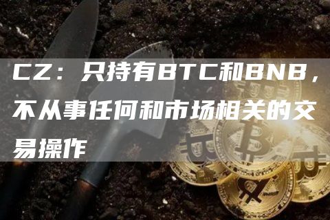 CZ：只持有BTC和BNB，不从事任何和市场相关的交易操作