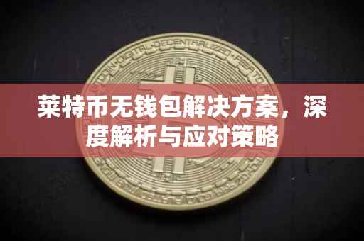 莱特币无钱包解决方案，深度解析与应对策略