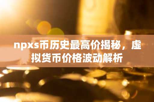npxs币历史最高价揭秘，虚拟货币价格波动解析