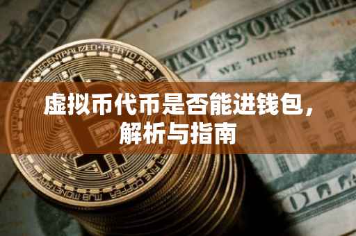 虚拟币代币是否能进钱包，解析与指南