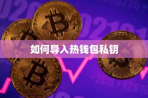 如何导入热钱包私钥