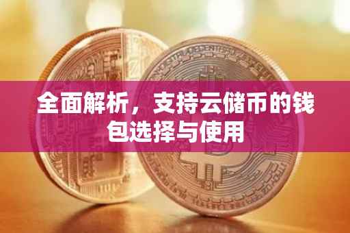 全面解析，支持云储币的钱包选择与使用