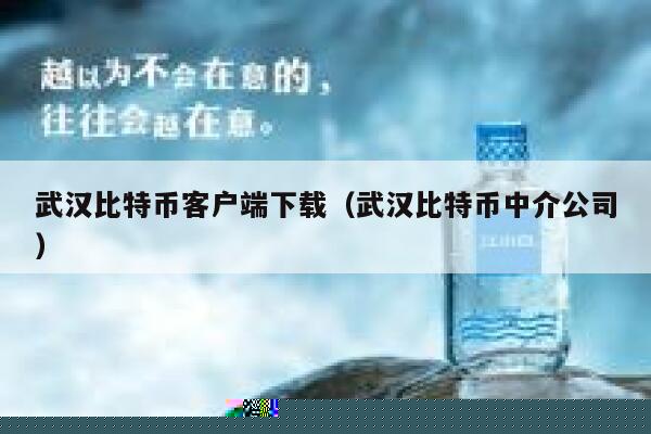 武汉比特币客户端下载（武汉比特币中介公司）