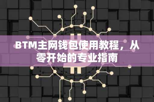 BTM主网钱包使用教程，从零开始的专业指南