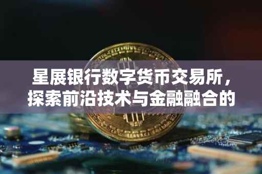 星展银行数字货币交易所，探索前沿技术与金融融合的标杆