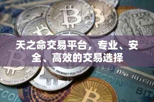 天之命交易平台，专业、安全、高效的交易选择