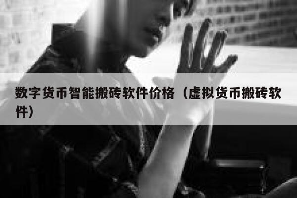 数字货币智能搬砖软件价格（虚拟货币搬砖软件）