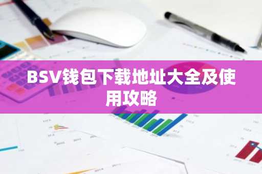 BSV钱包下载地址大全及使用攻略