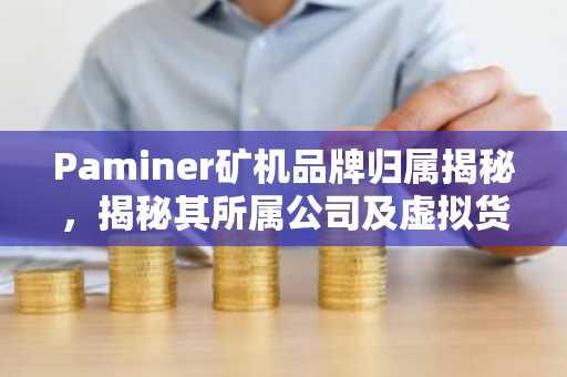 Paminer矿机品牌归属揭秘，揭秘其所属公司及虚拟货币挖矿