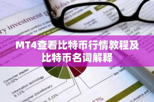 MT4查看比特币行情教程及比特币名词解释