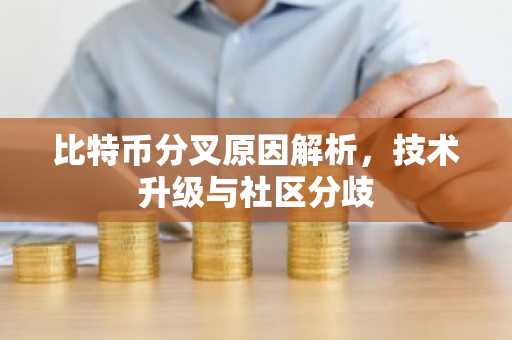 比特币分叉原因解析，技术升级与社区分歧