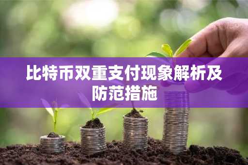 比特币双重支付现象解析及防范措施