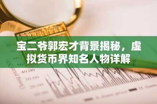 宝二爷郭宏才背景揭秘，虚拟货币界知名人物详解
