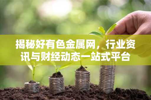 揭秘好有色金属网，行业资讯与财经动态一站式平台