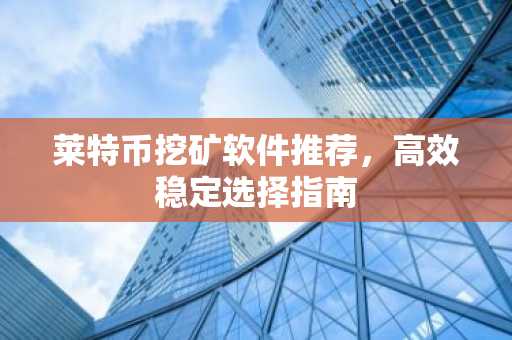 莱特币挖矿软件推荐，高效稳定选择指南