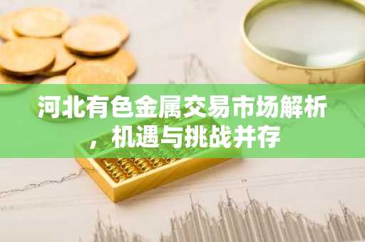 河北有色金属交易市场解析，机遇与挑战并存