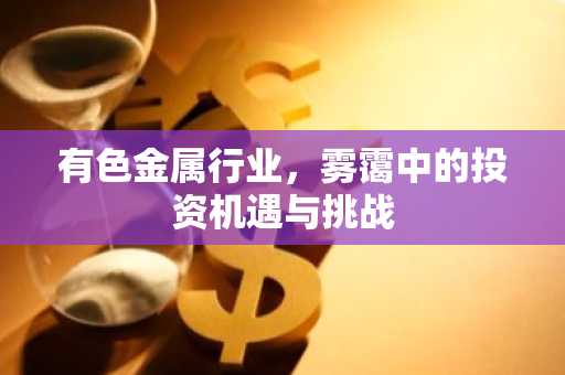 有色金属行业，雾霭中的投资机遇与挑战