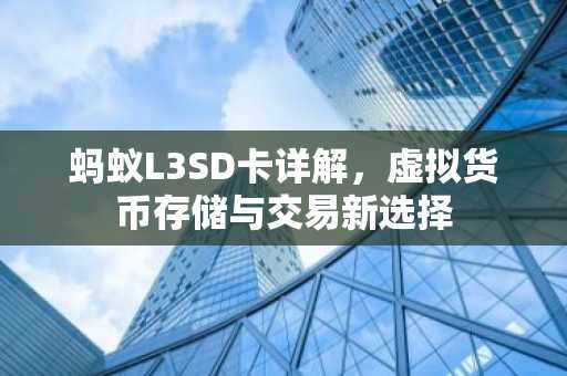 蚂蚁L3SD卡详解，虚拟货币存储与交易新选择