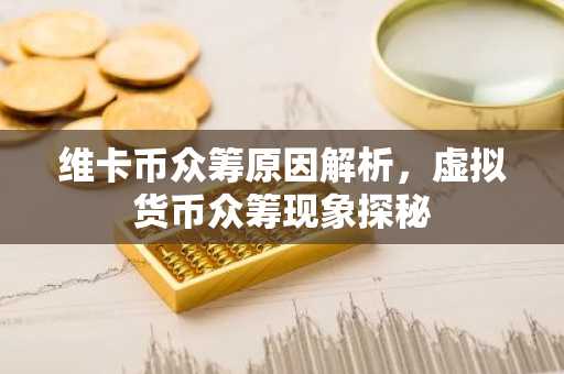 维卡币众筹原因解析，虚拟货币众筹现象探秘