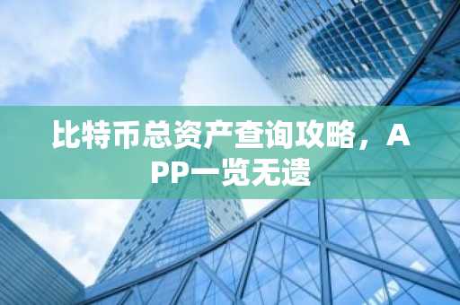 比特币总资产查询攻略，APP一览无遗