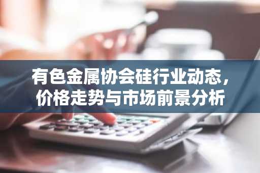 有色金属协会硅行业动态，价格走势与市场前景分析