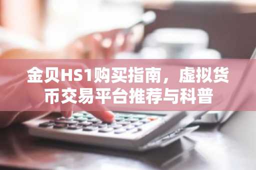 金贝HS1购买指南，虚拟货币交易平台推荐与科普