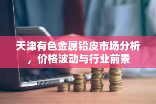 天津有色金属铅皮市场分析，价格波动与行业前景