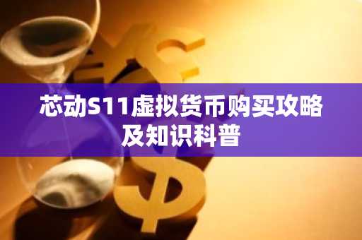 芯动S11虚拟货币购买攻略及知识科普