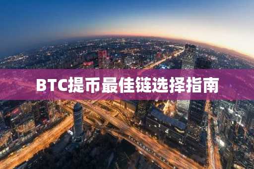 BTC提币最佳链选择指南