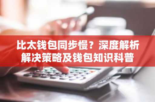 比太钱包同步慢？深度解析解决策略及钱包知识科普
