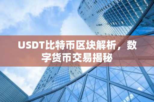 USDT比特币区块解析，数字货币交易揭秘