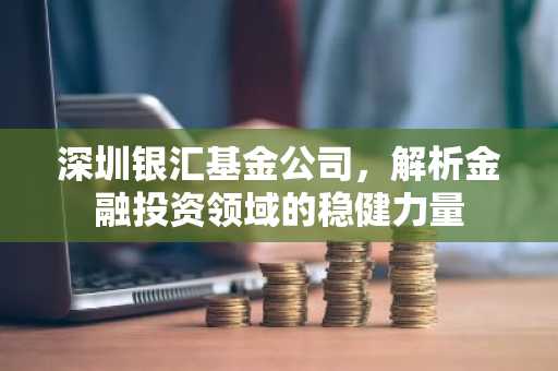 深圳银汇基金公司，解析金融投资领域的稳健力量