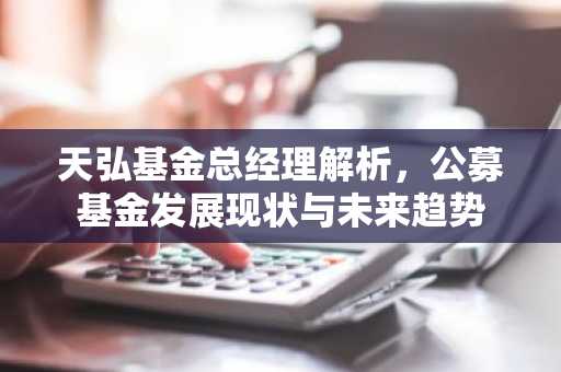 天弘基金总经理解析，公募基金发展现状与未来趋势