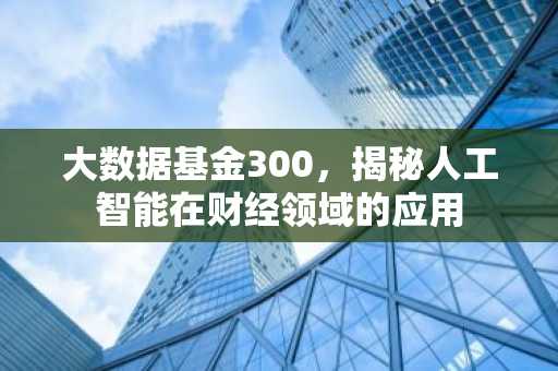 大数据基金300，揭秘人工智能在财经领域的应用