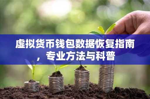 虚拟货币钱包数据恢复指南，专业方法与科普