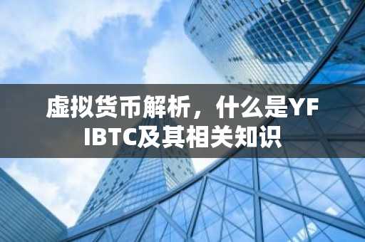 虚拟货币解析，什么是YFIBTC及其相关知识