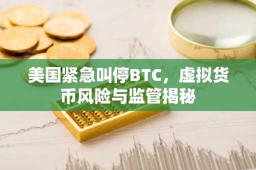 美国紧急叫停BTC，虚拟货币风险与监管揭秘