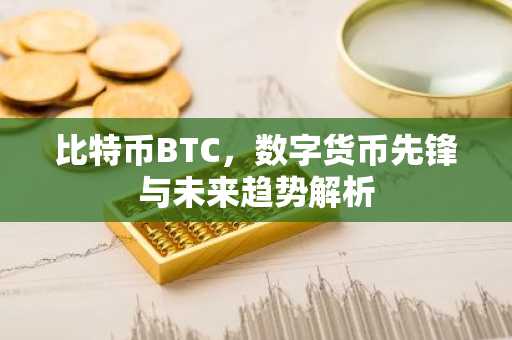 比特币BTC，数字货币先锋与未来趋势解析