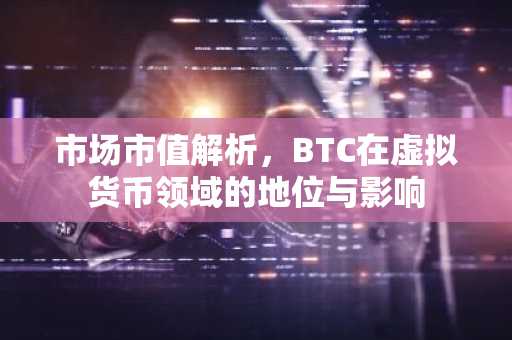 市场市值解析，BTC在虚拟货币领域的地位与影响