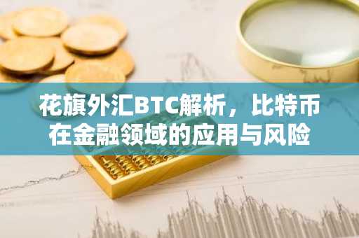 花旗外汇BTC解析，比特币在金融领域的应用与风险