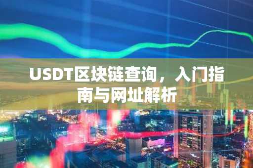 USDT区块链查询，入门指南与网址解析