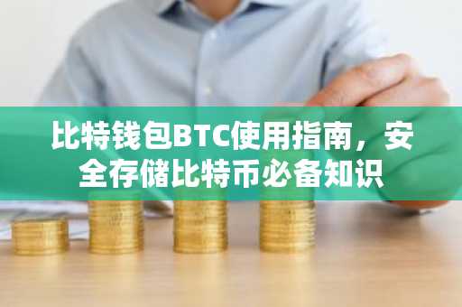 比特钱包BTC使用指南，安全存储比特币必备知识