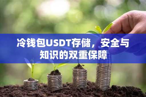 冷钱包USDT存储，安全与知识的双重保障