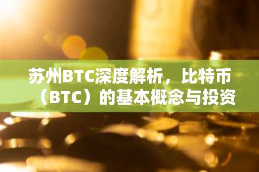 苏州BTC深度解析，比特币（BTC）的基本概念与投资风险