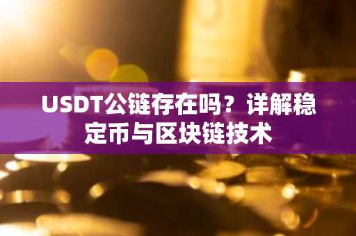 USDT公链存在吗？详解稳定币与区块链技术