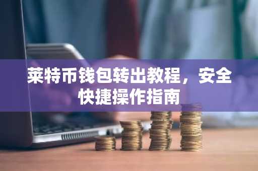 莱特币钱包转出教程，安全快捷操作指南