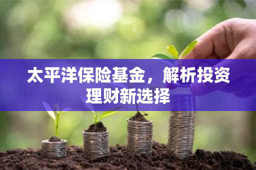 太平洋保险基金，解析投资理财新选择