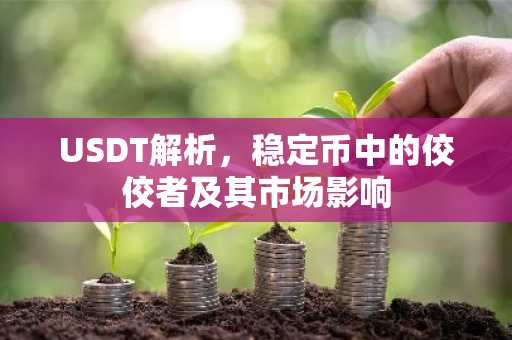 USDT解析，稳定币中的佼佼者及其市场影响